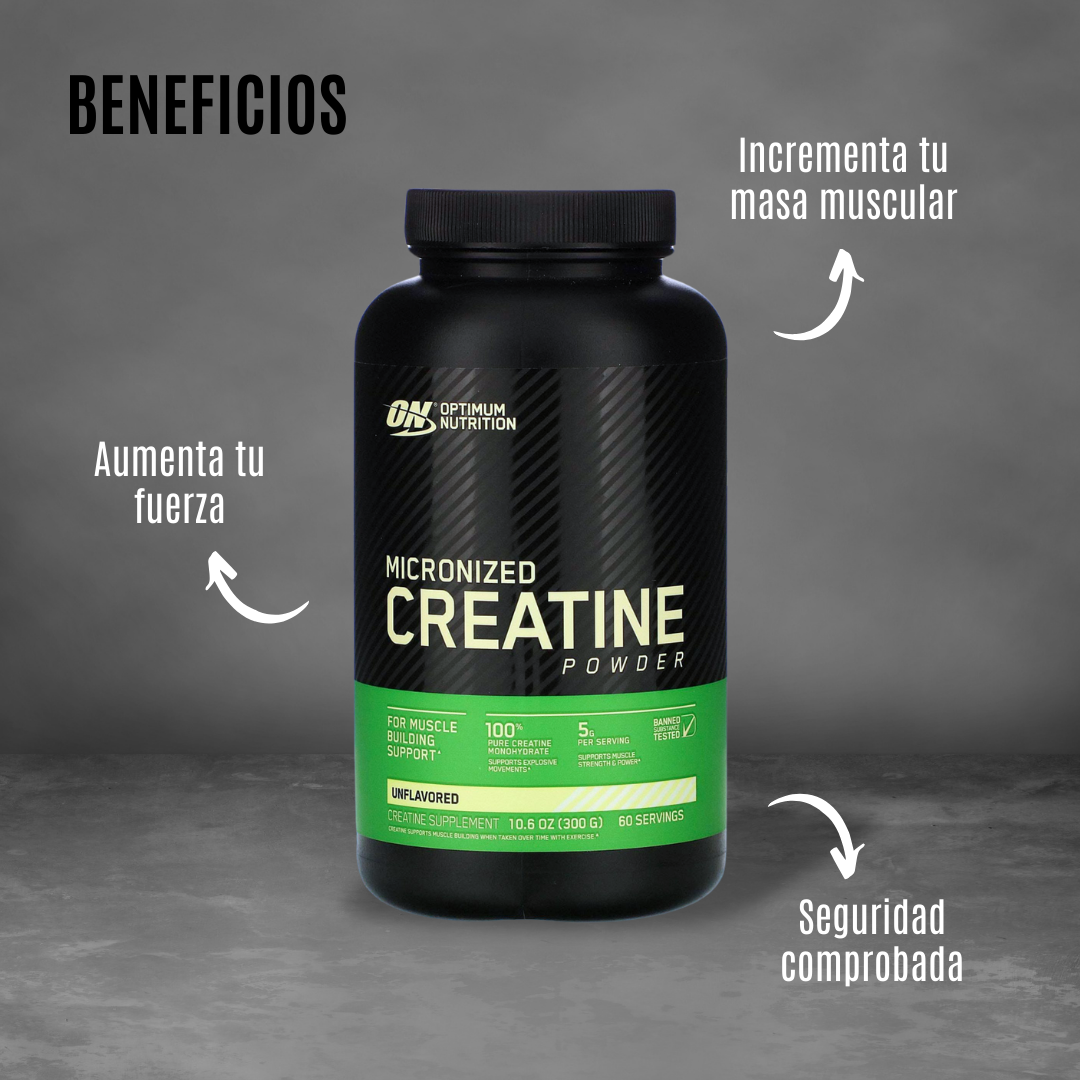 CREATINE POWDER MICRONIZADA 300 GRS 60 SERV ON